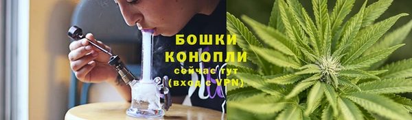 PSILOCYBIN Алексеевка