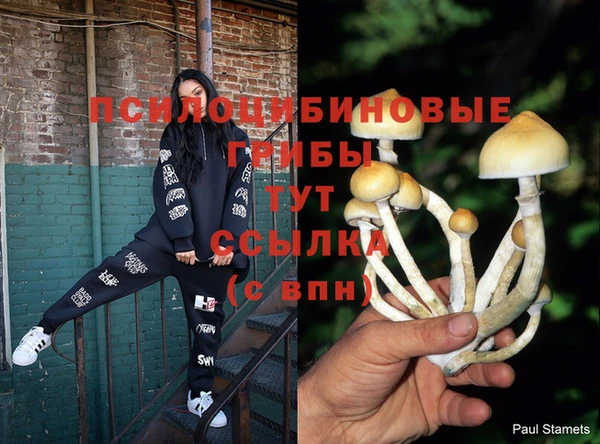мет Алзамай