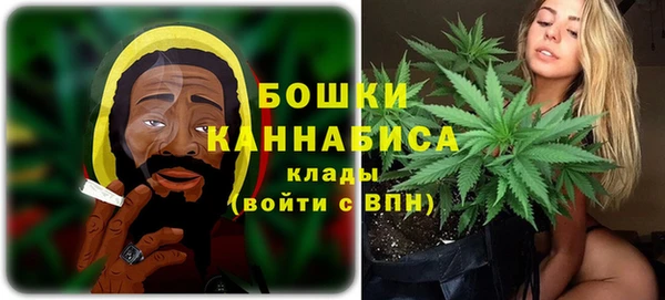 PSILOCYBIN Алексеевка